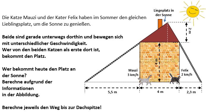 Fallbeispiel Katzenliegeplatz.JPG